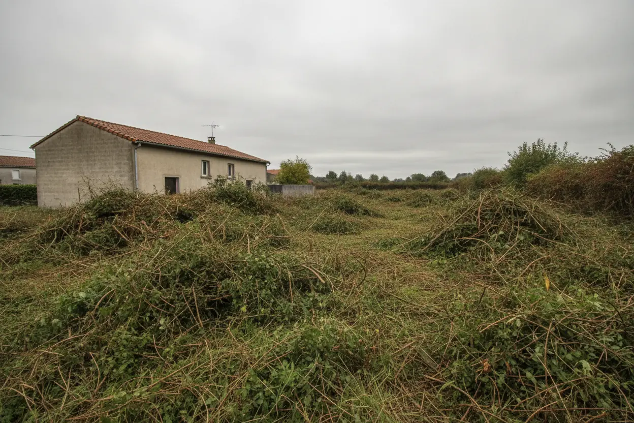 Terrain de campagne encombré de branchages et déchets verts avant nettoyage à Bassussarry